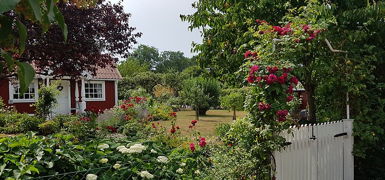 Floravägen - södra koloniträdgårdsområdet i Kalmar
